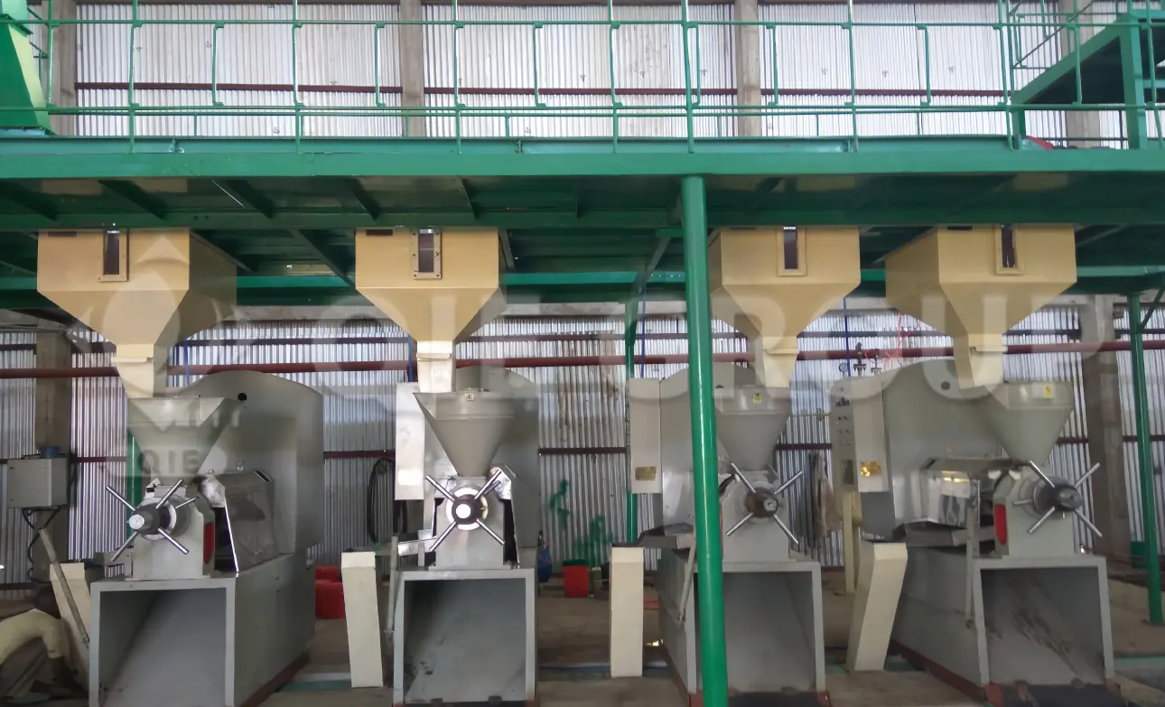 مكبس زيت حلزوني عالي الكفاءة لمعالجة فول الصويا والزيوت النباتية