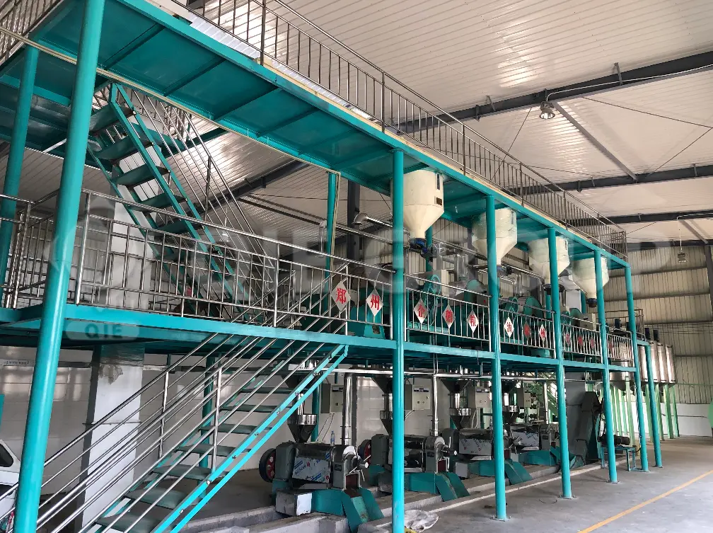 خط المعالجة الميكانيكية المسبقة لزيت الكانولا يحسن الكفاءة قبل عملية العصر.