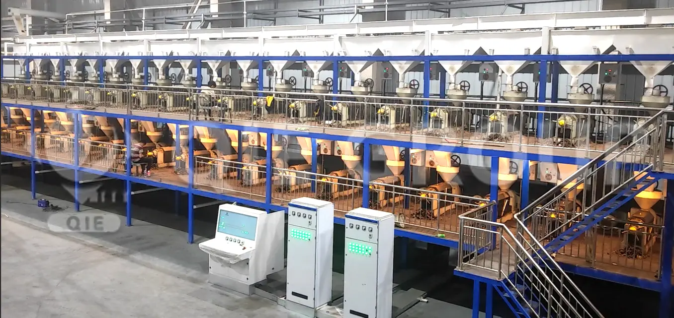 ورشة عصر الزيوت الصالحة للأكل مزودة بآلات عصر زيت هيدروليكية ولولبية حديثة لإنتاج زيوت الخضروات والمكسرات.