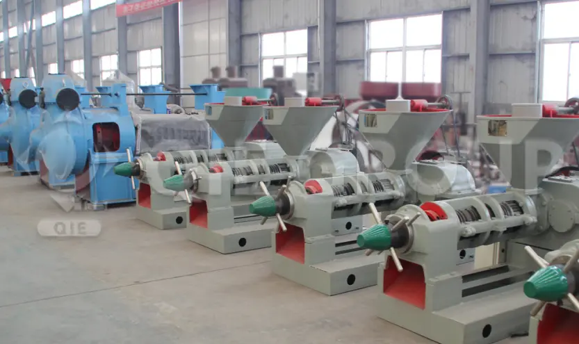 آلة عصر زيت عالية الكفاءة لمعالجة فول الصويا وبذور اللفت للأغراض التجارية.