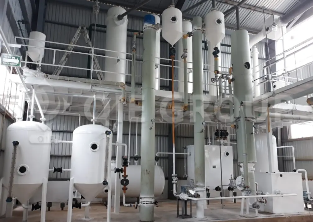 ورشة عمل لاستخلاص المذيبات تتضمن استخلاص البذور الزيتية واستعادة المذيبات وفصل الكسبة لتحقيق إنتاجية أعلى وسلامة أفضل.