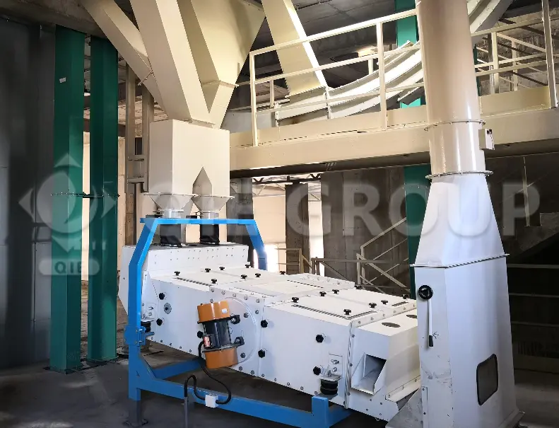 منخل تنظيف جنين الذرة لإزالة الشوائب قبل استخلاص الزيت.